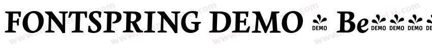 FONTSPRING DEMO - Be字体转换
